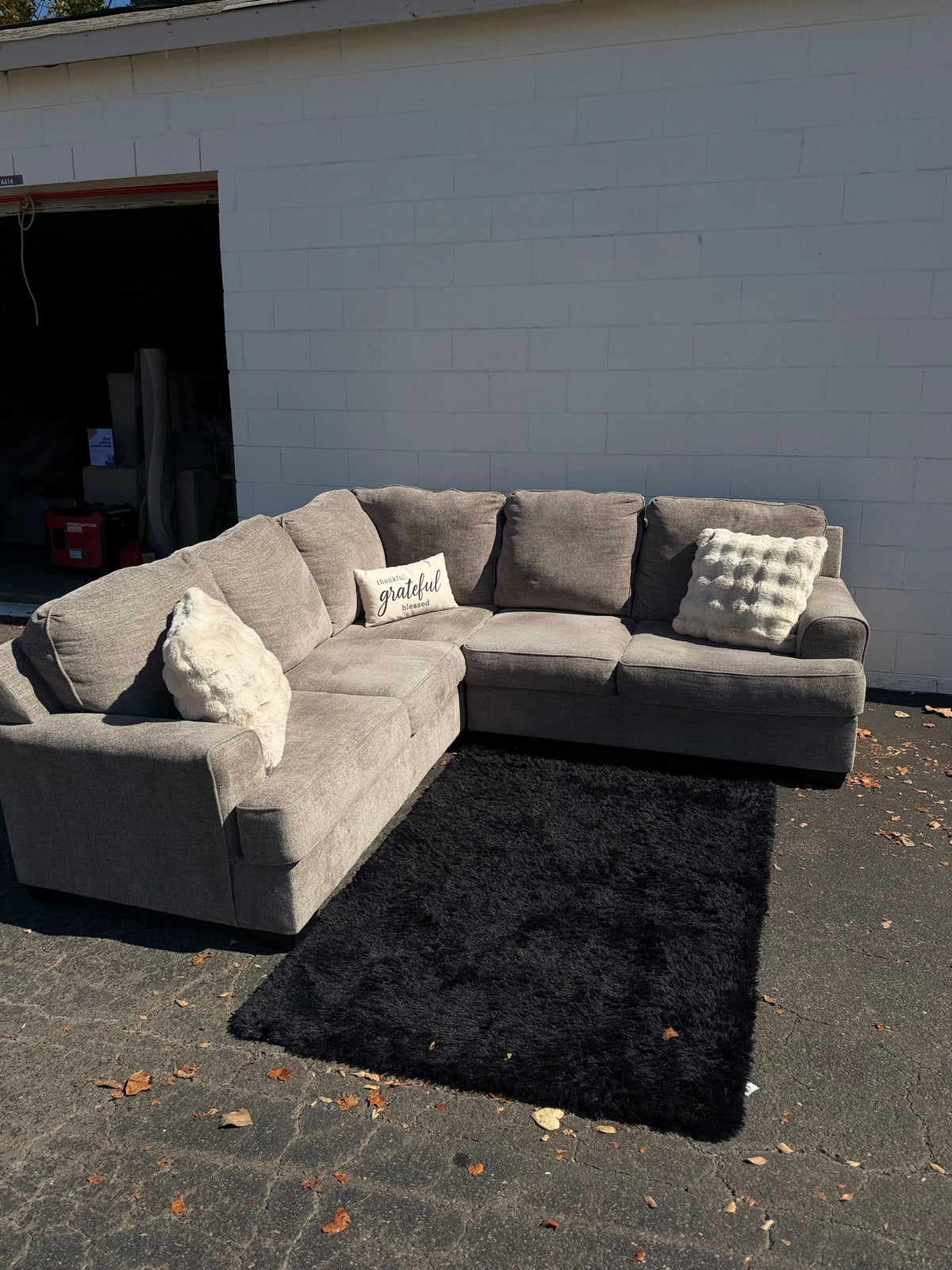 Light Grey L-Shape Sectional, photo 5